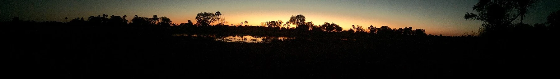 Moremi at sunset, July 2017